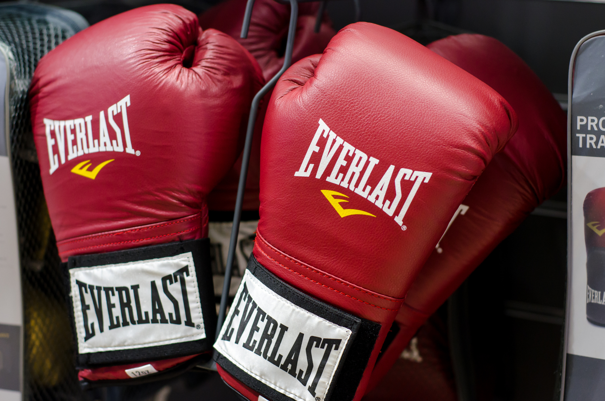 12 ounce everlast boxing gloves